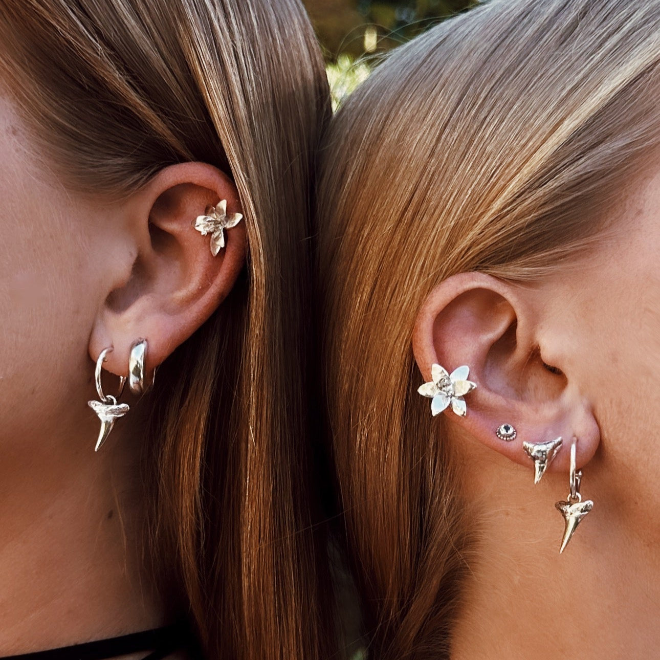 Shark Studs Hoops