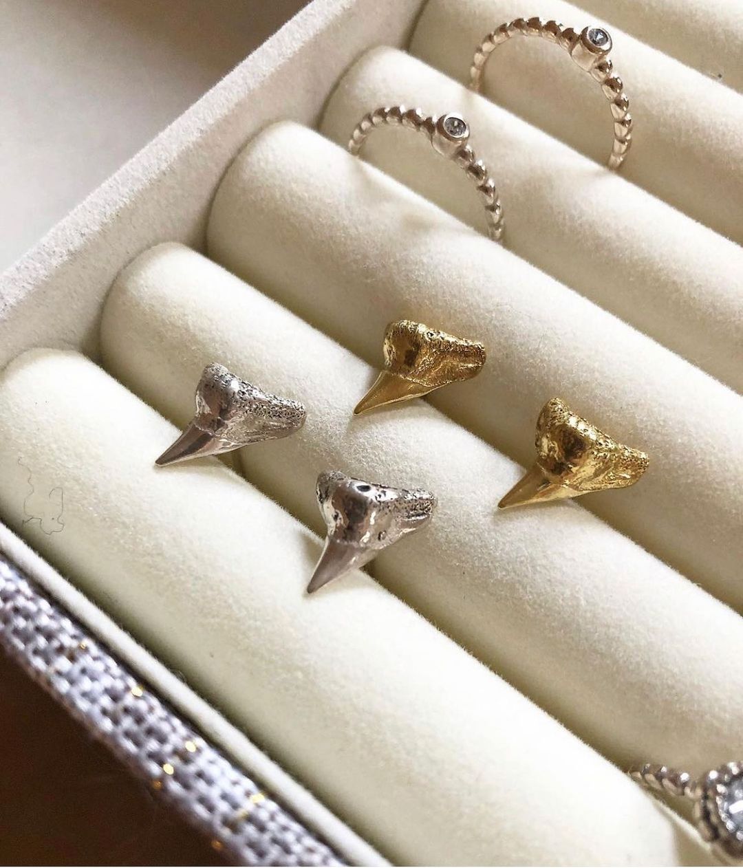 Shark Studs Hoops