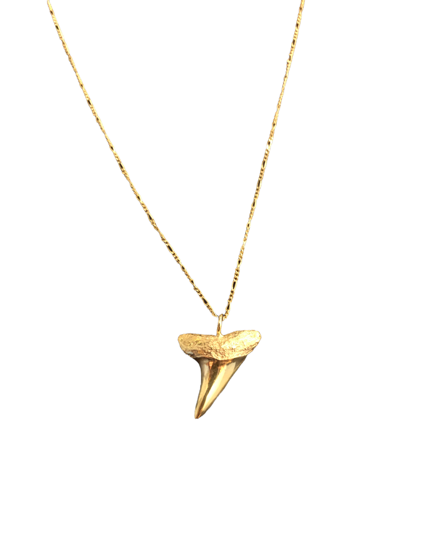 SHARK TOOTH NECKLACE