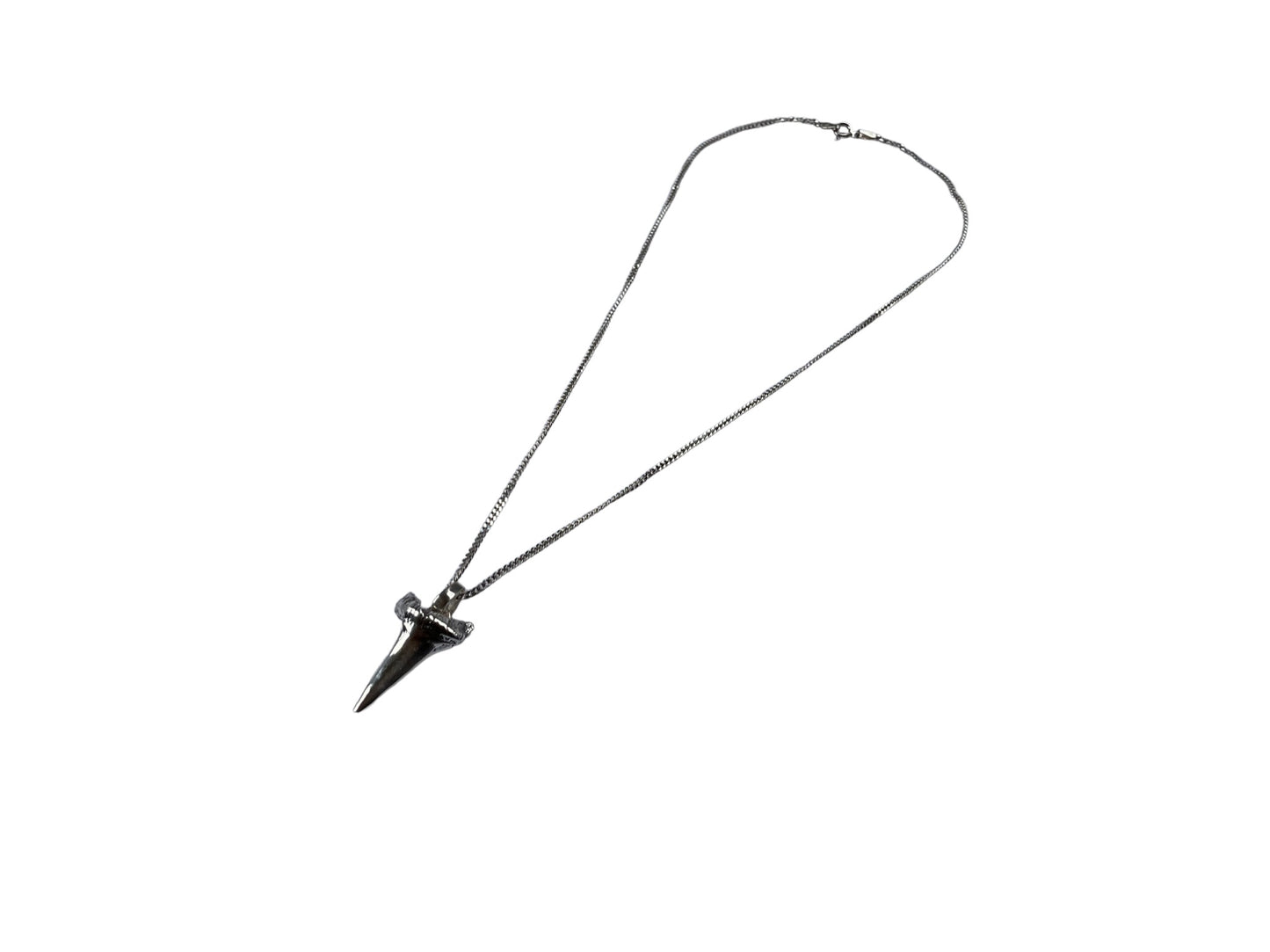 Southern Shark Tooth Necklace