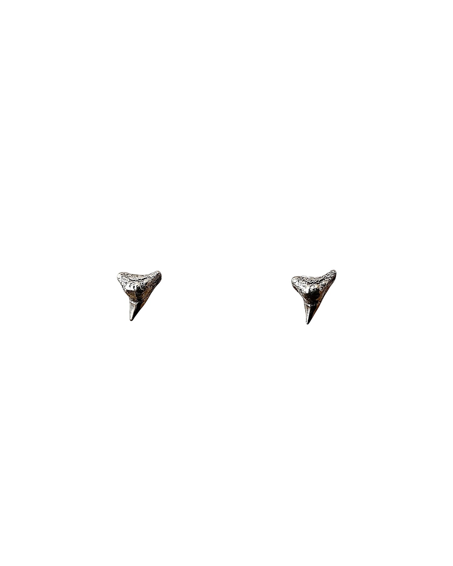Shark Studs Hoops