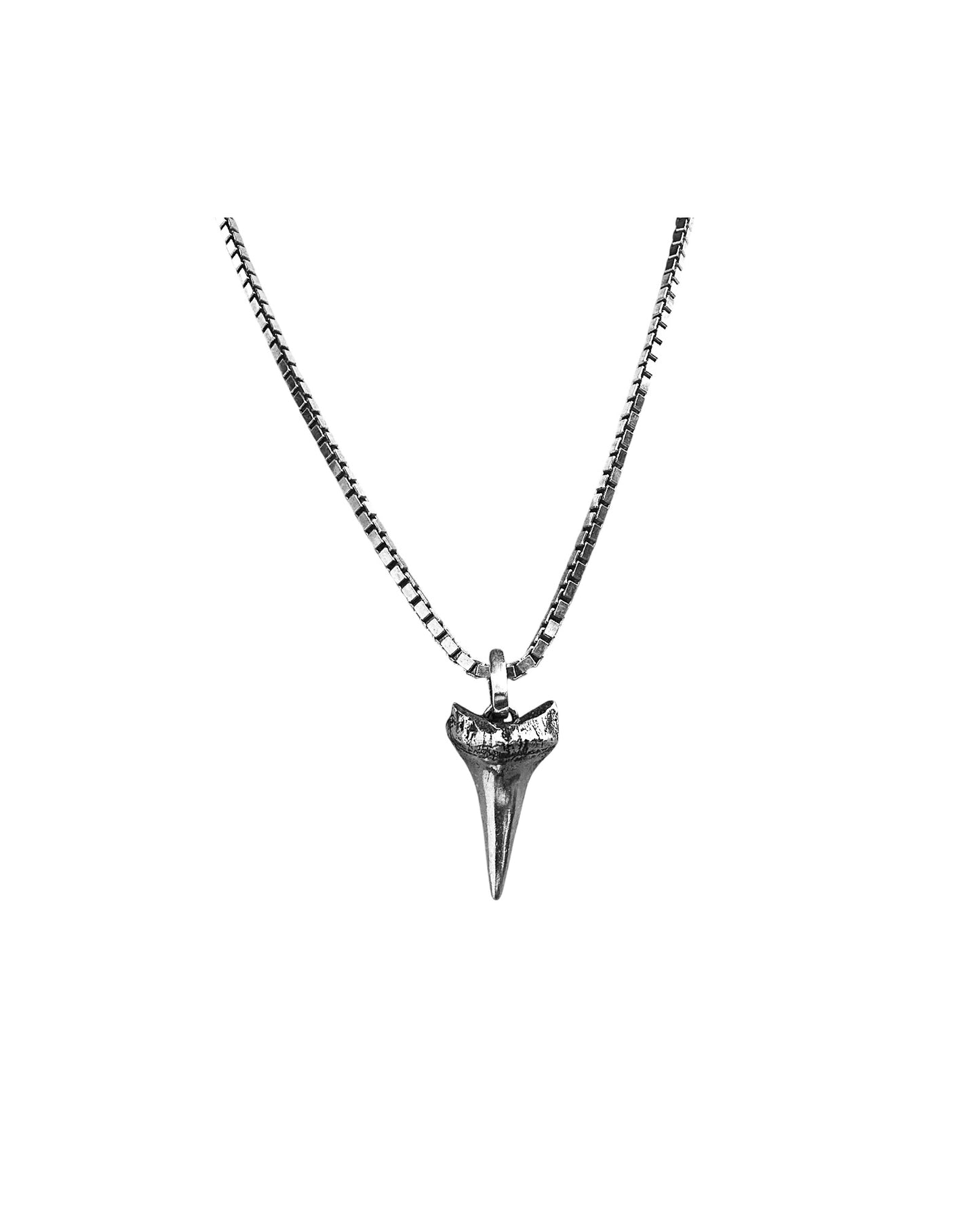 SOUTHERN SHARK TOOTH NECKLACE