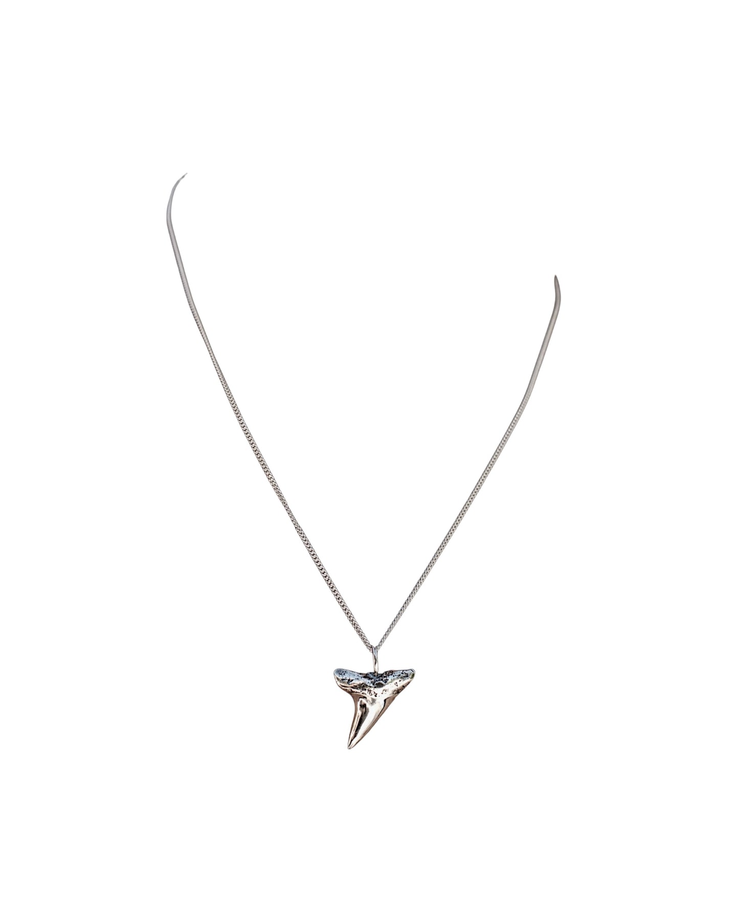SHARK TOOTH NECKLACE