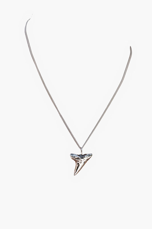 Shark Tooth Necklace
