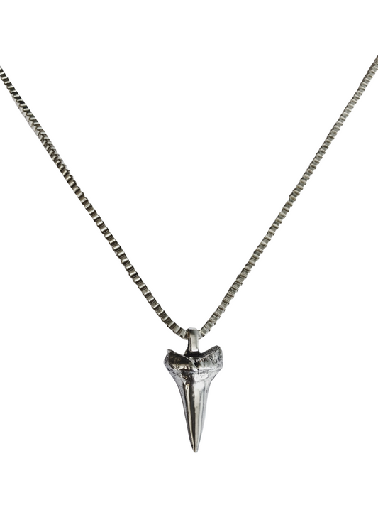 Southern Shark Tooth Necklace