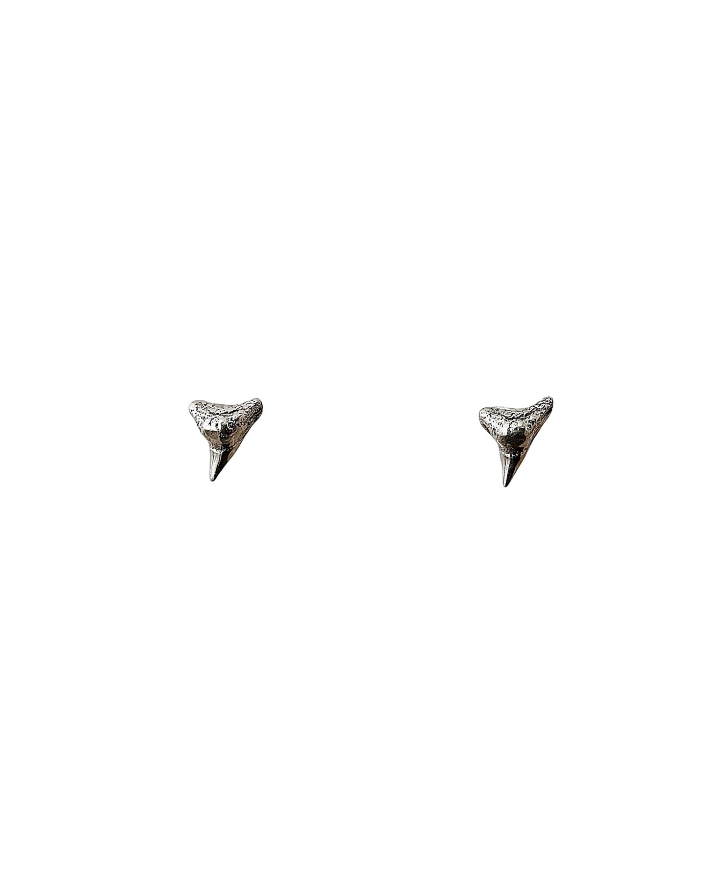 Shark Studs Hoops