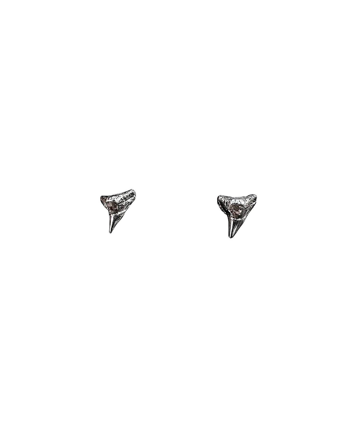 Shark Studs Hoops