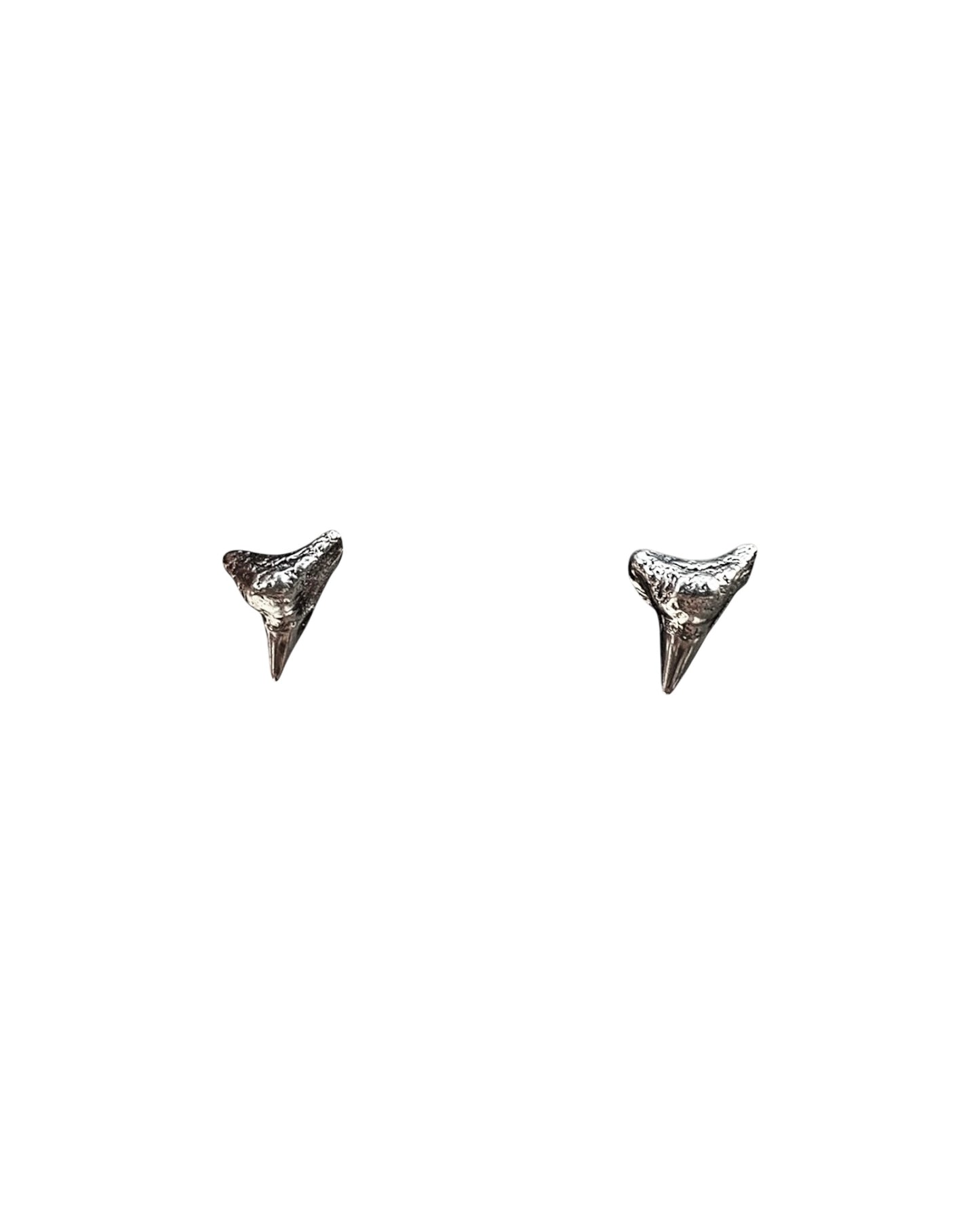 Shark Studs Hoops