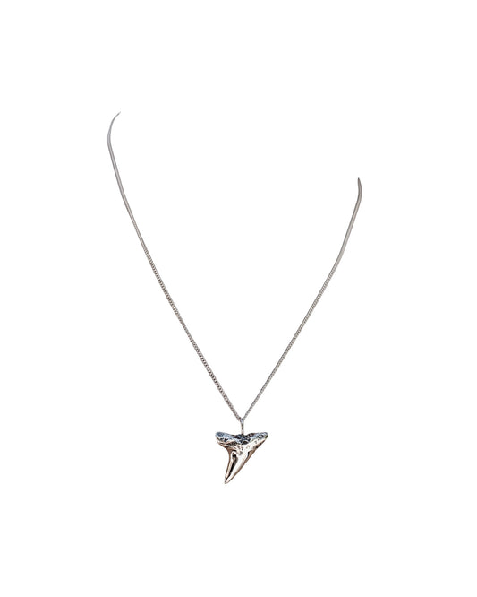 SHARK TOOTH NECKLACE