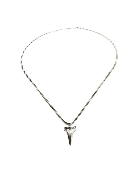 SOUTHERN SHARK TOOTH NECKLACE